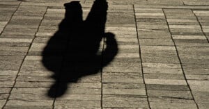 A clear shadow of a person standing on a stone-tiled pavement, with sunlight casting the silhouette sharply onto the ground.