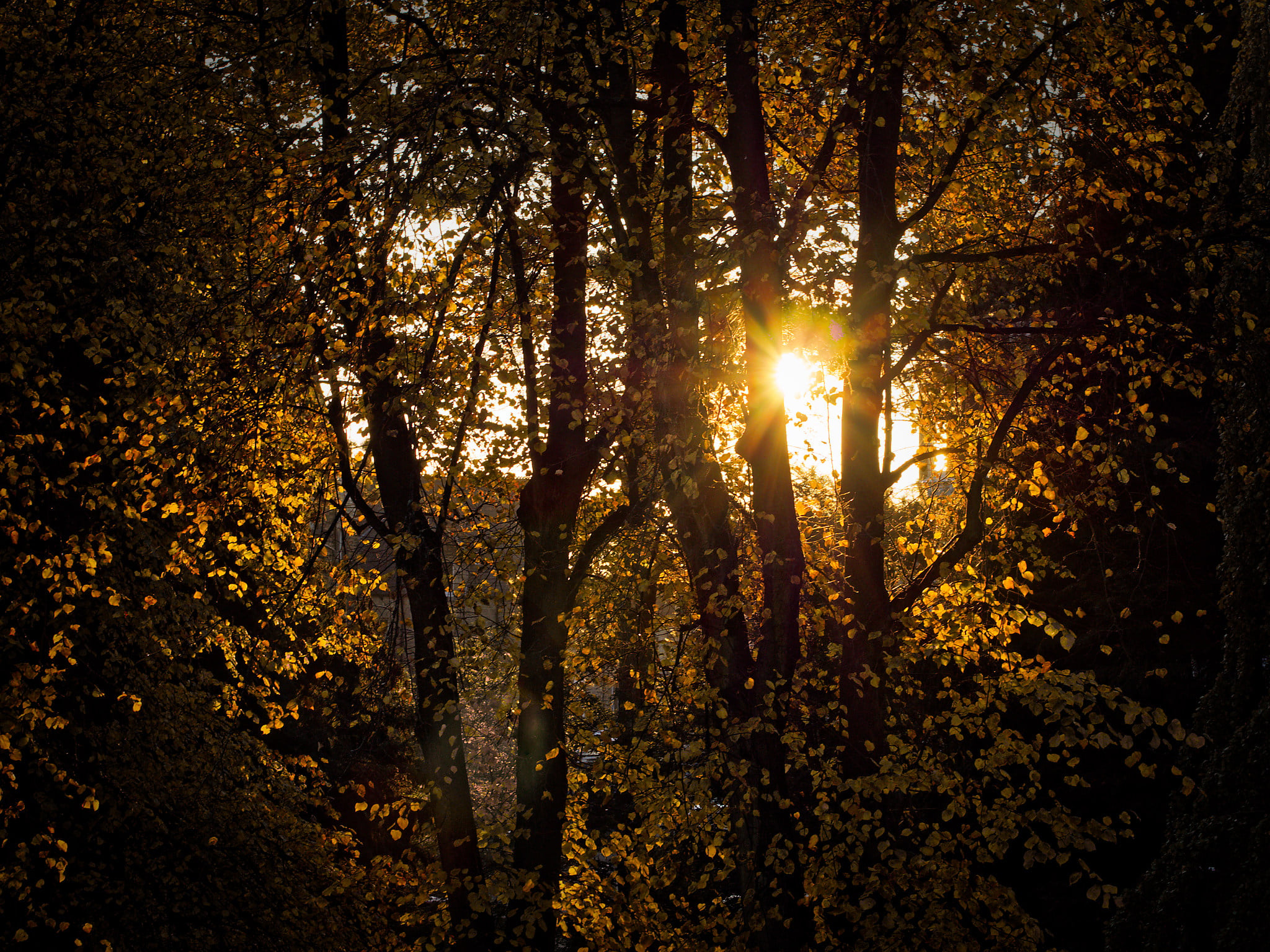 Light and Photography: How Light Interacts With Your Subject | PetaPixel