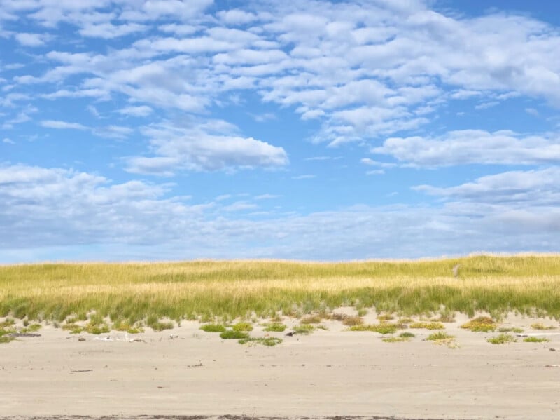 En primer plano hay una playa de arena con dunas de hierba, hierba alta y dorada y un cielo azul brillante con nubes blancas dispersas y esponjosas.