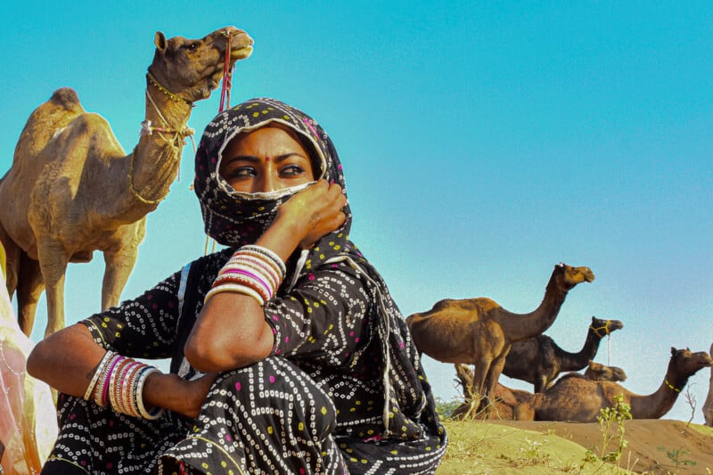 A woman in patterned traditional attire and bangles sits on sandy ground, partially covering her face with her scarf. Several camels stand behind her under a clear blue sky.