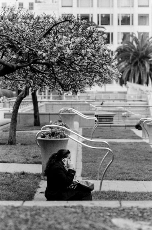 A woman sits on the grass in a park, covering her face with one hand while holding a phone. Behind her, there are blossoming trees, curved railings, and a modern building in the background.