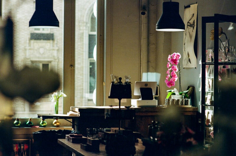 Sunlight streams into a cozy shop with wooden furniture, a potted pink orchid, pendant lights, a cash register, and shelves displaying various items. The window offers a partial view of a building outside.
