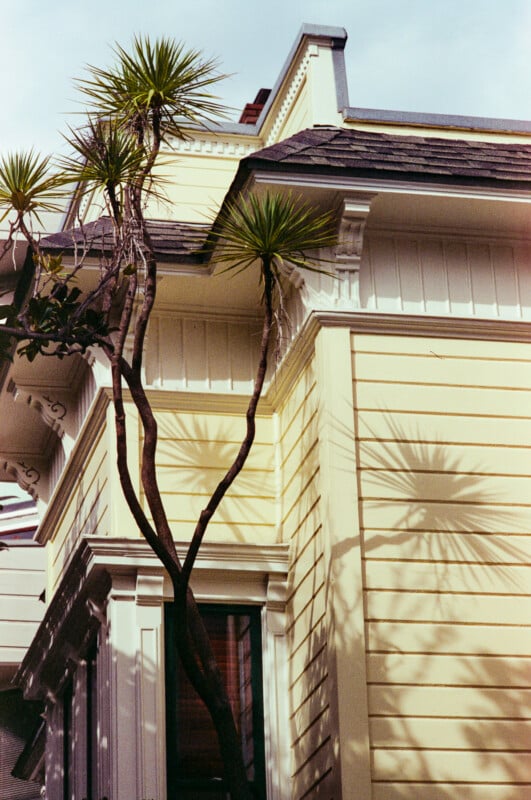 A tall, slender tree casts distinct shadows on the light yellow exterior wall of a house with white trim and decorative architectural details under a partly cloudy sky.