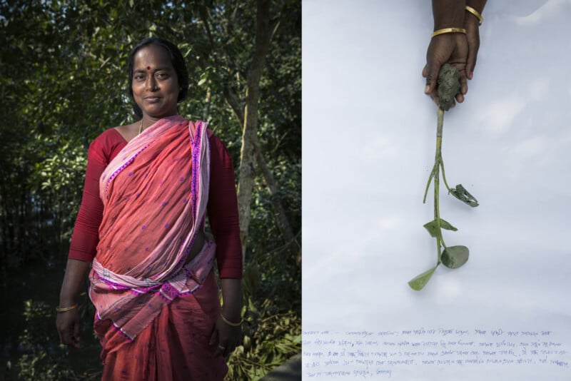 A woman in a pink and red sari stands outdoors on the left; on the right, a close-up of her hand holds an uprooted plant with roots against a white background.