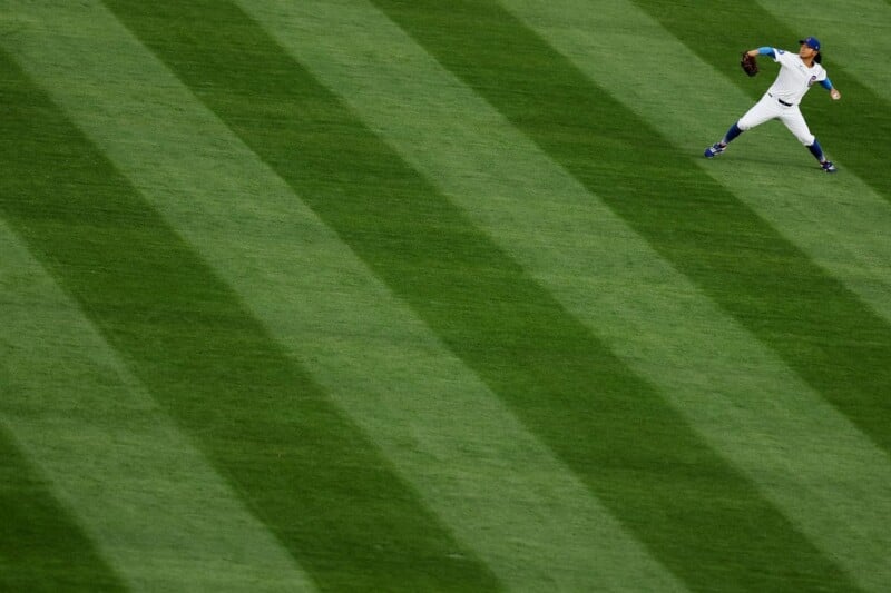 A baseball player in a white and blue uniform throws a ball from the outfield, standing on green, striped grass with wide diagonal mowing lines.