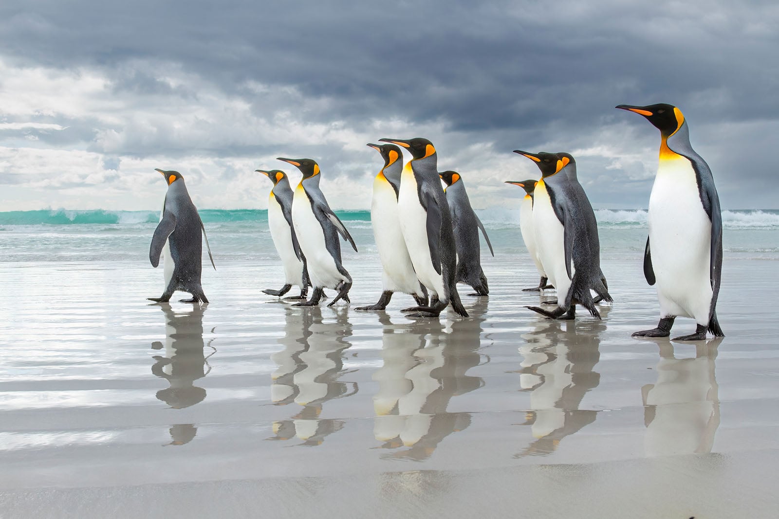 Nature Photography Contest Winners Show Nature at its Most Beautiful ...