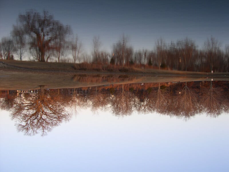 An upside-down photo showing leafless trees with brown grass near a calm body of water, reflecting the trees and sky. The scene appears serene, with soft lighting and no people visible.