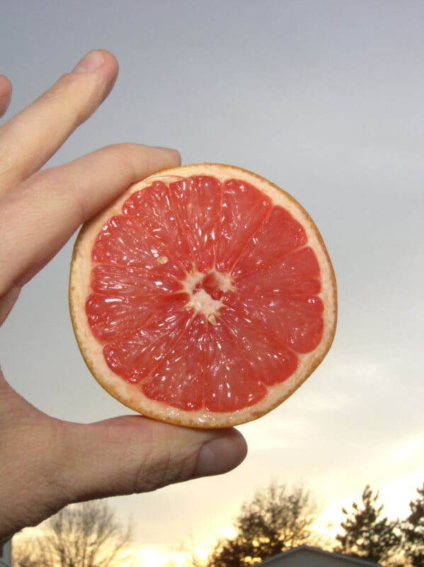 A hand holds up a freshly cut half of a pink grapefruit against a cloudy sky at sunset, with trees visible in the background.