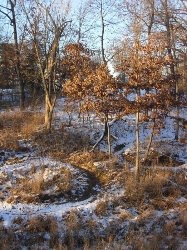 A narrow dirt path winds through a lightly snow-dusted field with dry grass and leafless trees on a sunny winter day.