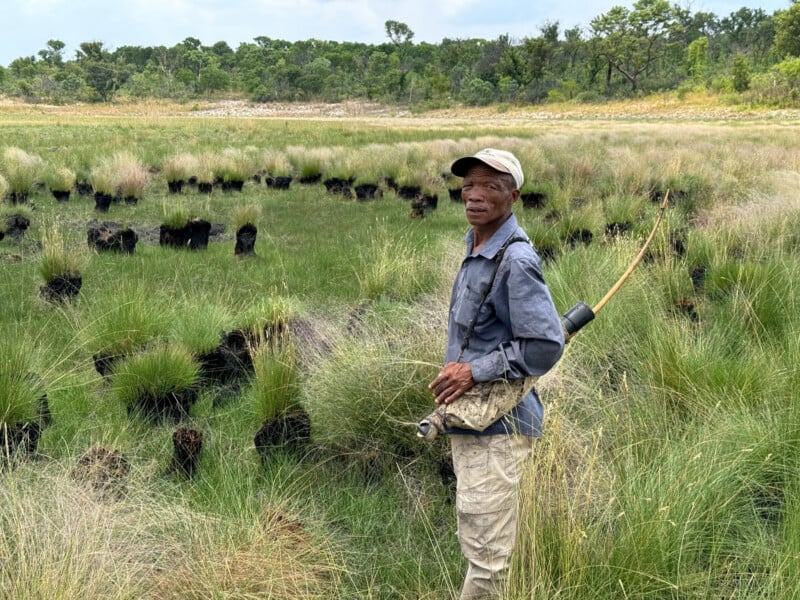 An older man stands in tall grass, holding a traditional bow and wearing a cap and casual clothes. In the background, tufts of grass and sparse trees are visible under a partly cloudy sky.