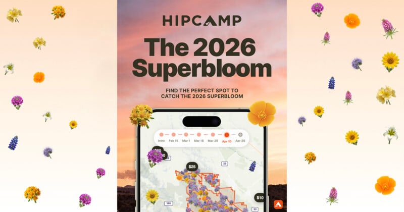 A promotional graphic for Hipcamp's 2026 Superbloom, featuring a phone displaying a map, text about finding superbloom spots, and colorful wildflowers scattered over a soft pastel background.