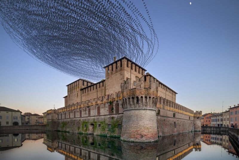 A large flock of birds forms swirling patterns in the sky above a historic brick castle surrounded by a moat, with the scene reflected in the calm water at dusk.
