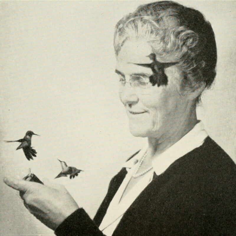 An elderly woman with glasses gently holds out her hand as two hummingbirds hover near it. Another hummingbird perches on her forehead. She smiles softly, appearing calm and content.