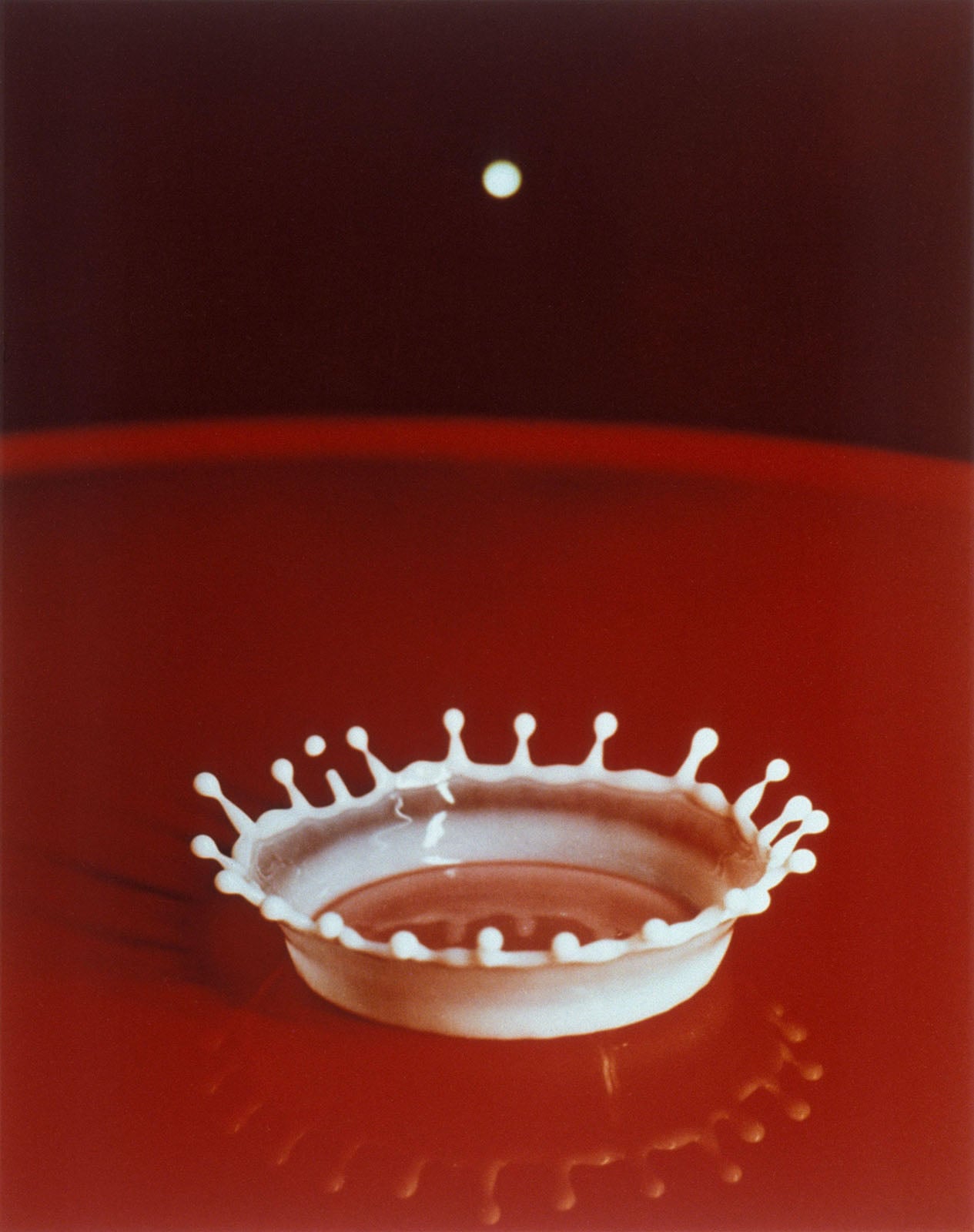 When Science Becomes Art: The Story of Harold Edgerton's Milk Drop ...