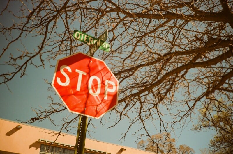 A red stop sign is positioned at a street corner beneath a green "Otero St" sign, with leafless tree branches extending above and a clear blue sky in the background.