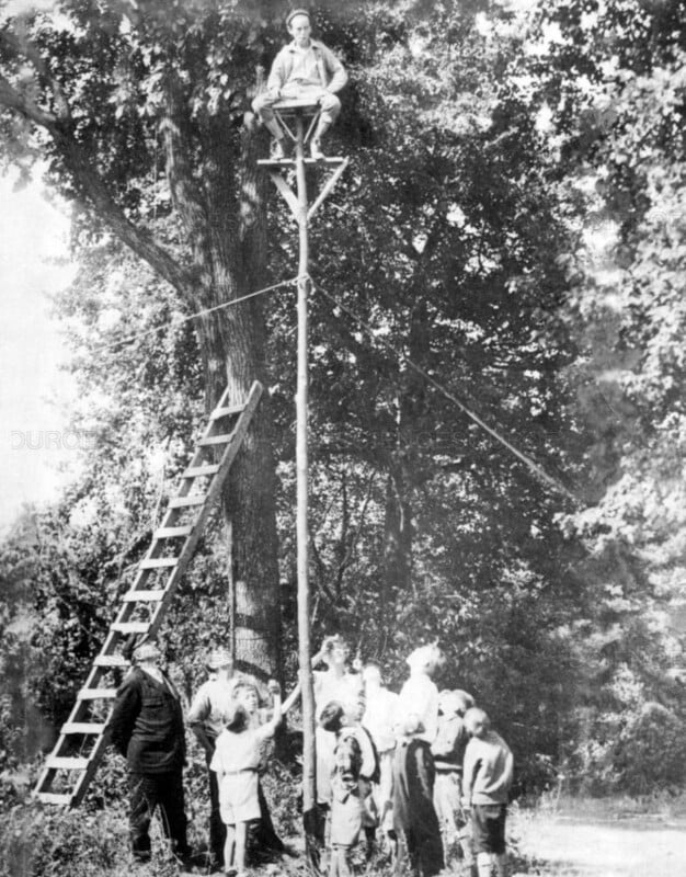 A group of people and children stand around a tall wooden pole in a wooded area, with a man sitting at the top on a small platform. A ladder is leaning against a tree next to the pole.