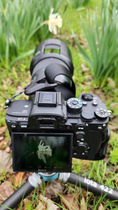 A close-up of a digital camera mounted on a tripod, focused on a flower in a grassy outdoor setting. The camera's screen displays a live view of the flower and camera settings.