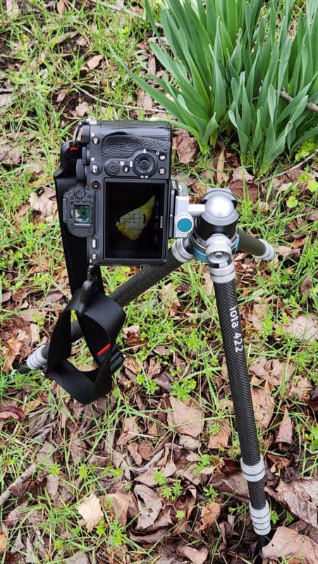 A digital camera mounted on a carbon fiber tripod is set up outdoors on grass and fallen leaves, with green plant shoots visible in the background.