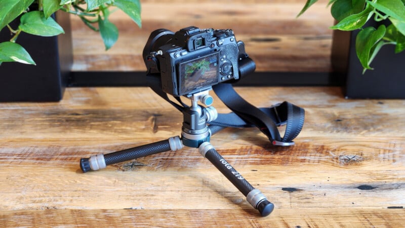 A digital camera mounted on a compact tabletop tripod sits on a wooden surface between two leafy green plants, with the camera screen displaying a preview of the scene.