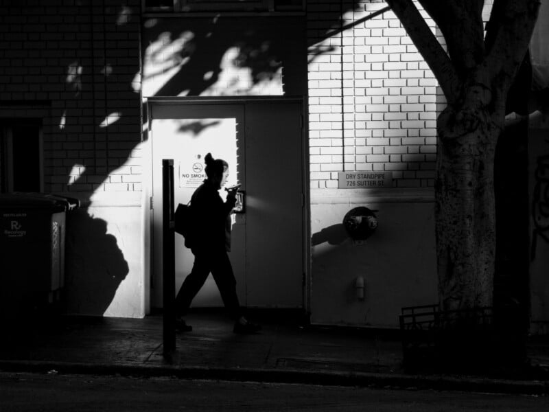 A person with a bun and backpack walks past a white brick building, their shadow cast on the wall. Tree shadows and sunlight create high-contrast patterns on the scene.