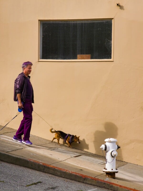 A person with purple hair, wearing purple clothing, walks a small brown dog on a leash along a sloped sidewalk past a beige wall and a white fire hydrant. The dog is sniffing near the curb.