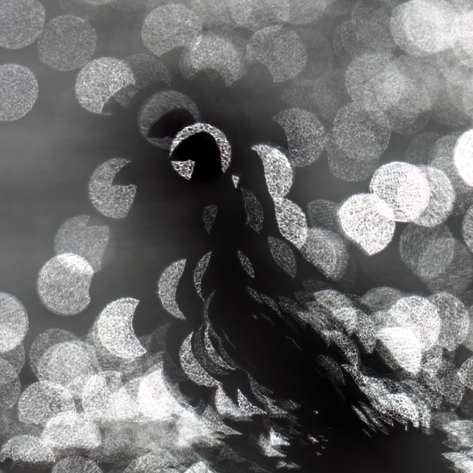 The 21 Fantastic Winners of the British Wildlife Photography Awards ...
