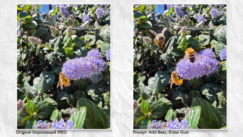 Two side-by-side photos of purple flowers with green leaves; the left image shows one bee, while the right image has three bees added and a piece of chewing gum removed from the leaves.