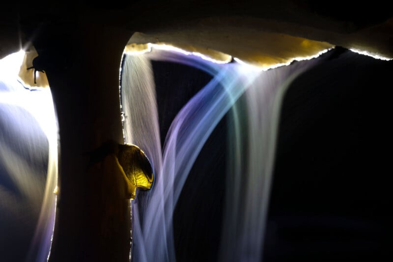 A small snail climbs the stem of a mushroom, illuminated by soft, colorful light beams against a dark background.