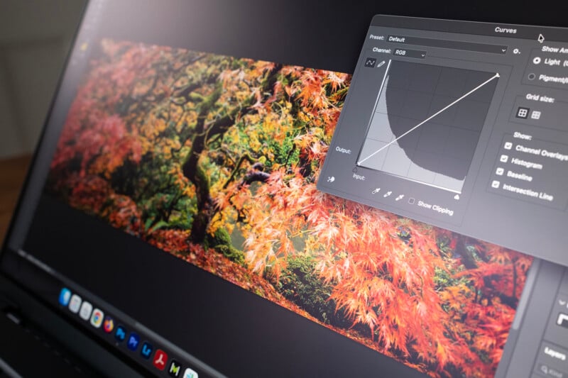 A computer screen displays a photo editing software with an image of vibrant autumn trees. A curves adjustment panel is open, showing color and brightness controls.