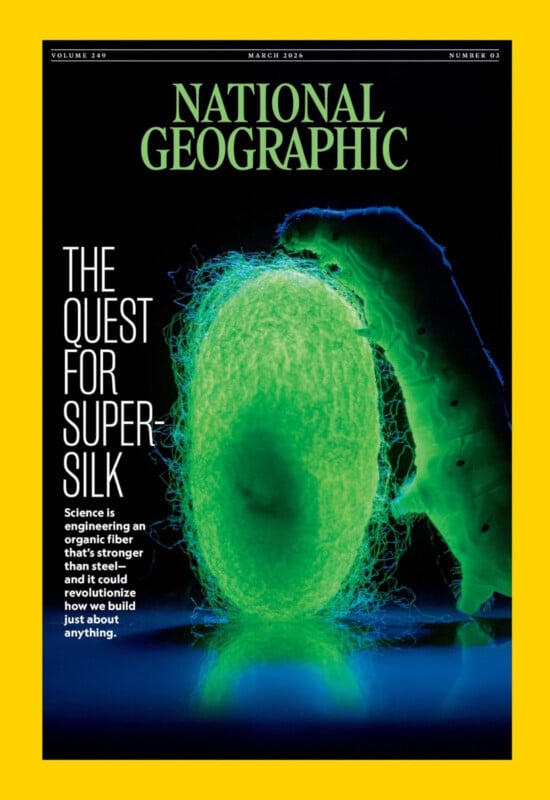 La portada de la revista National Geographic muestra un primer plano microscópico de gusanos de seda y capullos de seda, brillando en azul y verde sobre un fondo negro, con el titular 