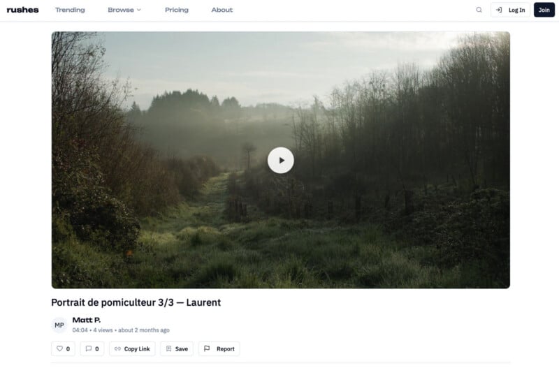 El sol de primera hora de la mañana ilumina suavemente el brumoso paisaje rural, la hierba y los árboles. Bajo un cielo brumoso, aparece un denso bosque al fondo.