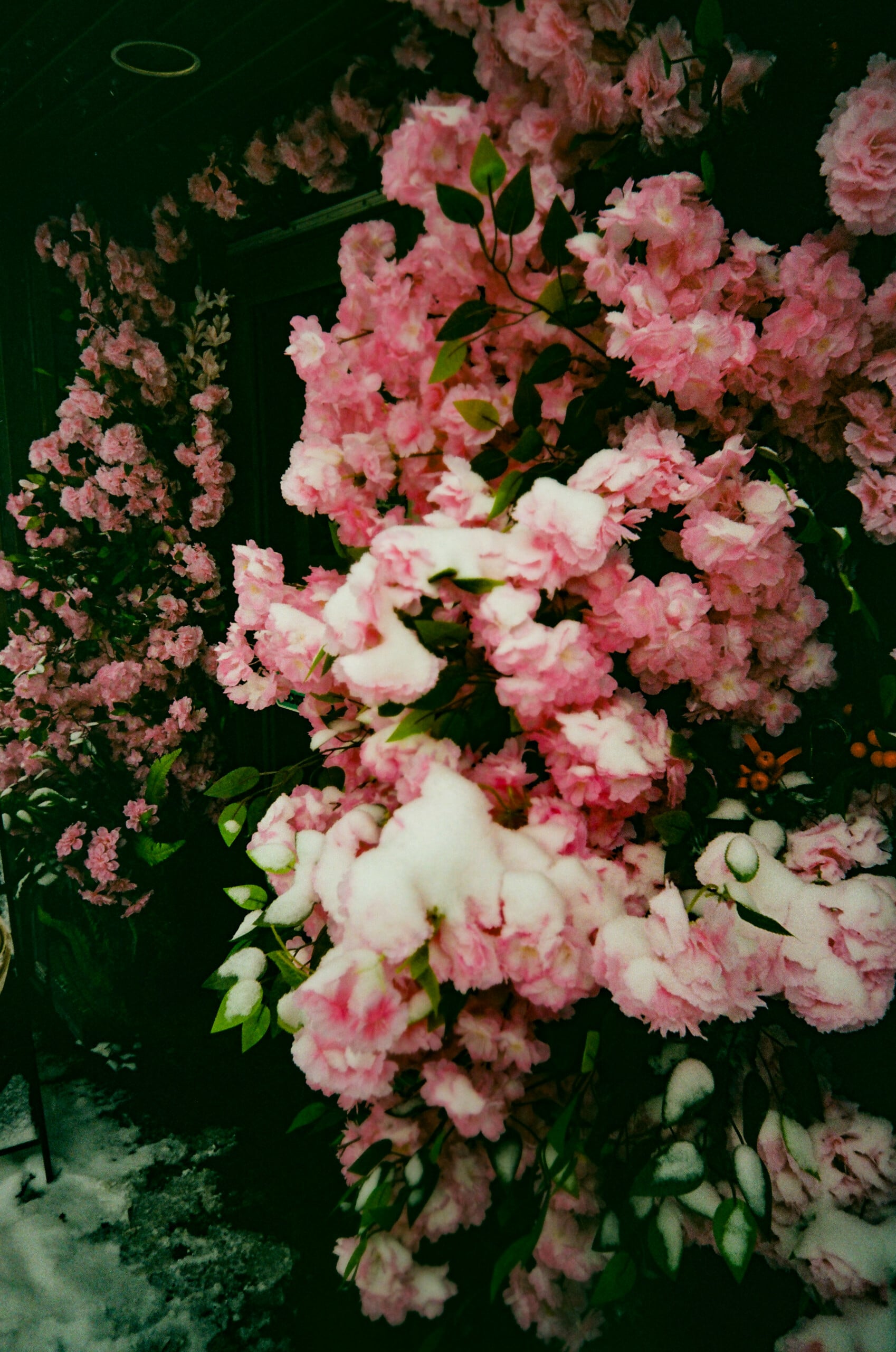 Post image 24