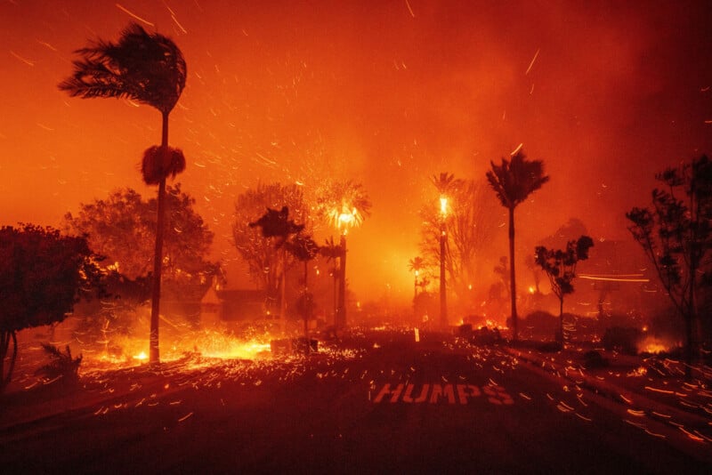 A wildfire engulfs a neighborhood at night, with flames and embers illuminating the sky. Palm trees and vegetation are burning, and strong winds bend the trees. The word “HUMPS” is painted on the road in the foreground.