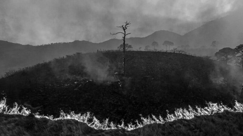 A black and white photo showing a hillside engulfed in flames, with smoke rising and a solitary, leafless tree standing in the center. The landscape appears scorched, with mountains faintly visible in the background.