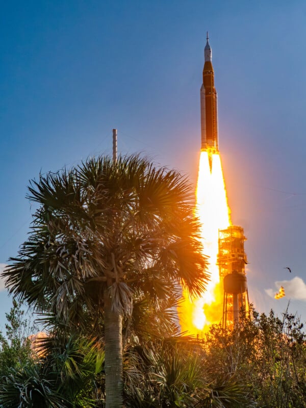 A rocket launches into the blue sky, leaving a bright trail of flames and smoke. Palm trees and greenery are visible in the foreground, with a bird flying nearby.