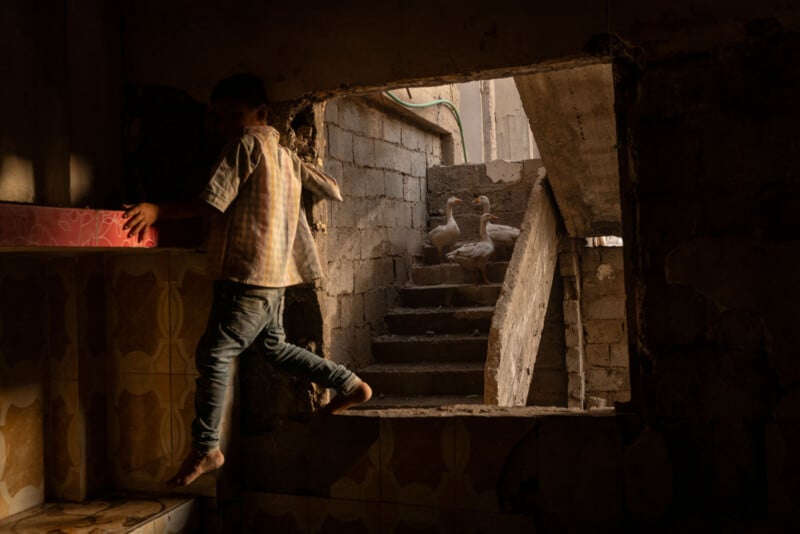 A child climbs through a hole in a wall inside a dimly lit, rustic building, while three geese stand on stone steps outside, illuminated by sunlight.