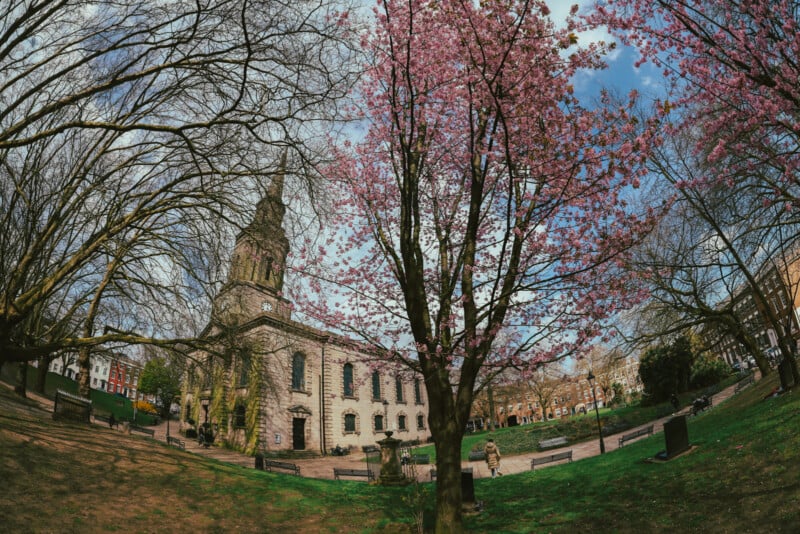 A wide-angle view of a historic stone church surrounded by leafless trees and blooming pink cherry blossoms, with benches and green grass in the foreground under a partly cloudy sky.