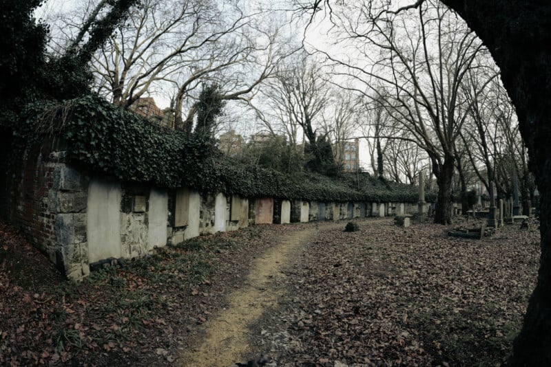 A narrow dirt path curves through a leaf-strewn cemetery, bordered by a weathered stone wall with old, partially covered gravestones, and surrounded by bare, leafless trees.