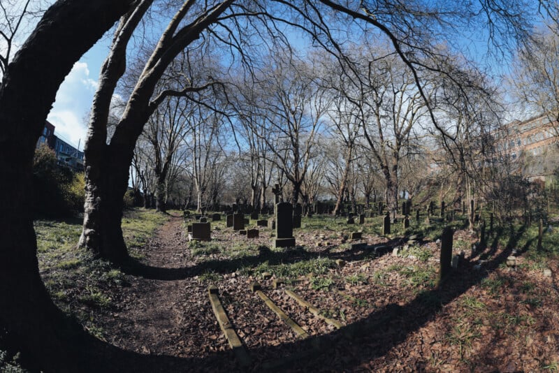 A cemetery with numerous headstones and grave markers is surrounded by leafless trees under a bright blue sky. Sunlight casts shadows across the uneven ground covered in leaves and grass.