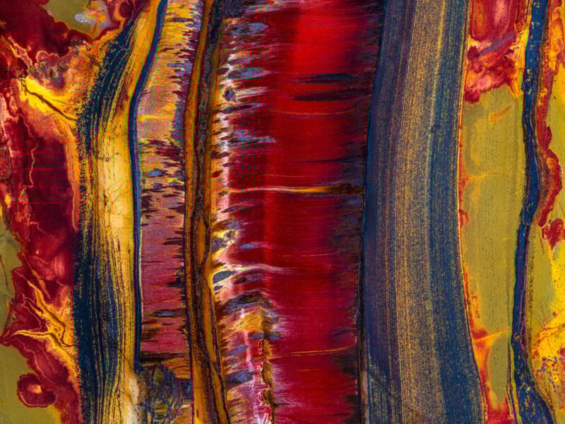 ‘Patterns’ Is a Photographic Celebration of Nature’s Rhythms