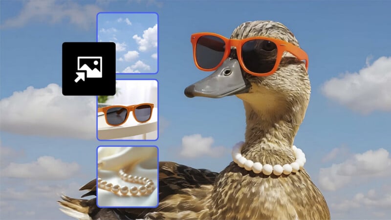 A duck wearing orange sunglasses and a pearl necklace against a blue sky. Overlay images show a close-up of clouds, the orange sunglasses, and the pearl necklace.