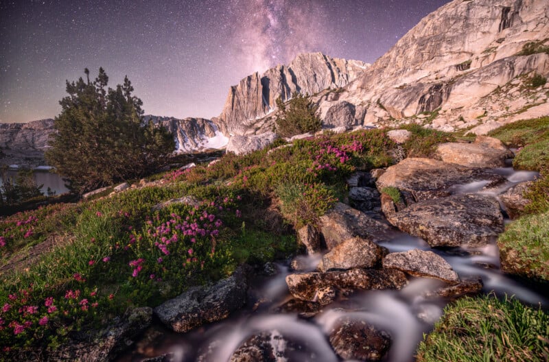A rocky mountain landscape with pink wildflowers and a flowing stream in the foreground, under a starry night sky featuring the Milky Way. Pines and rugged cliffs complete the serene, natural scene.