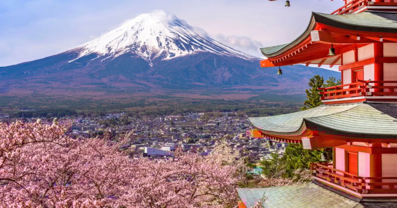 En un día despejado, el monte Fuji cubierto de nieve se eleva sobre el paisaje urbano detrás de cerezos en flor y pagodas tradicionales japonesas.