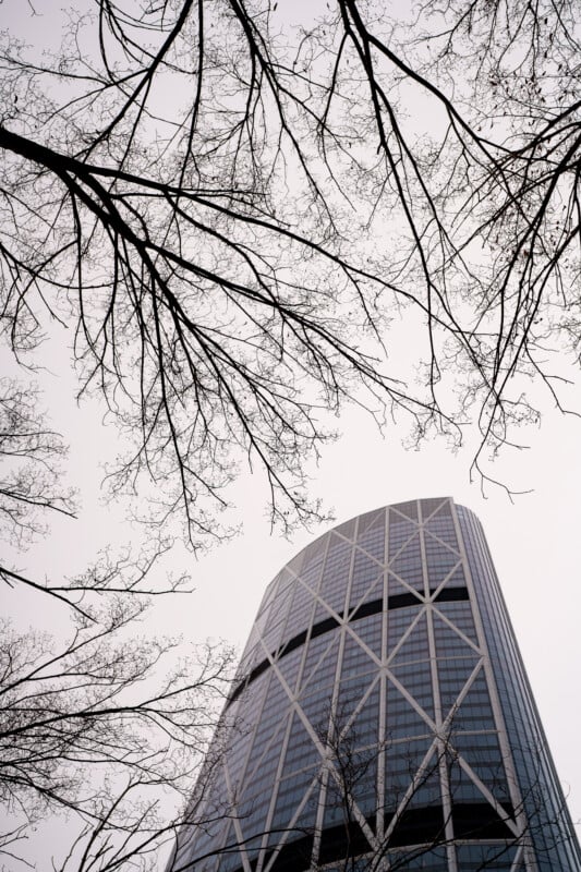 A modern glass skyscraper with a crisscross pattern rises toward a pale sky, framed by bare tree branches extending from the top and sides of the image.