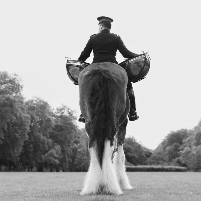 A person in uniform, seen from behind, rides a large horse on a grassy field, holding two drums. Trees line the background under an overcast sky.