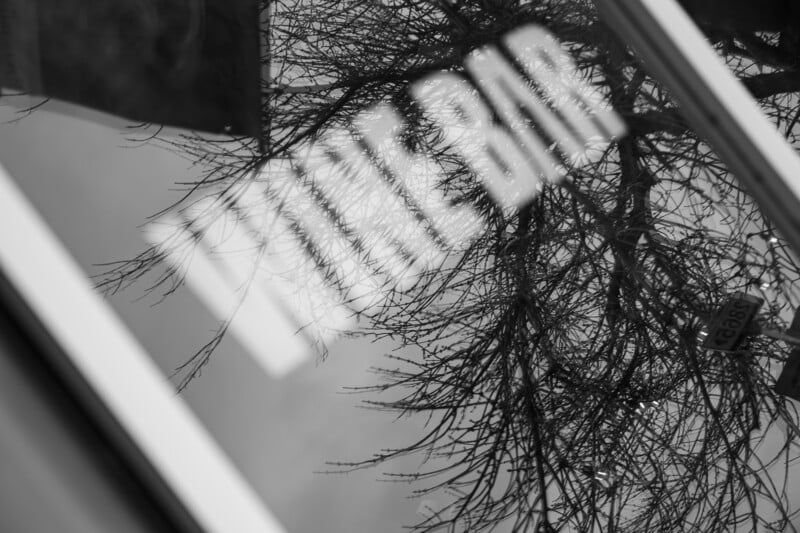 A window with the words "WINE BAR" reflected in it, showing the branches of a leafless tree and a street sign outside; the image is in black and white and taken at an angle.