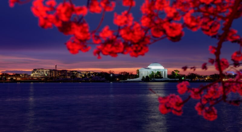 Cherry blossoms frame the Jefferson Memorial across the water at sunset, with a vibrant purple and orange sky and city lights in the background.
