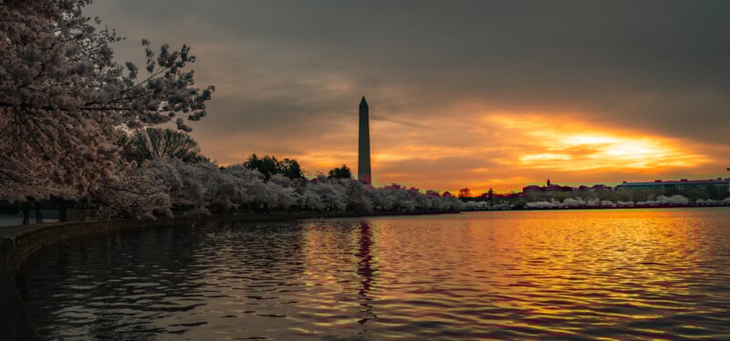 The Washington Monument rises against a dramatic sunset sky, reflecting on the water below, with cherry blossom trees lining the shore in full bloom.