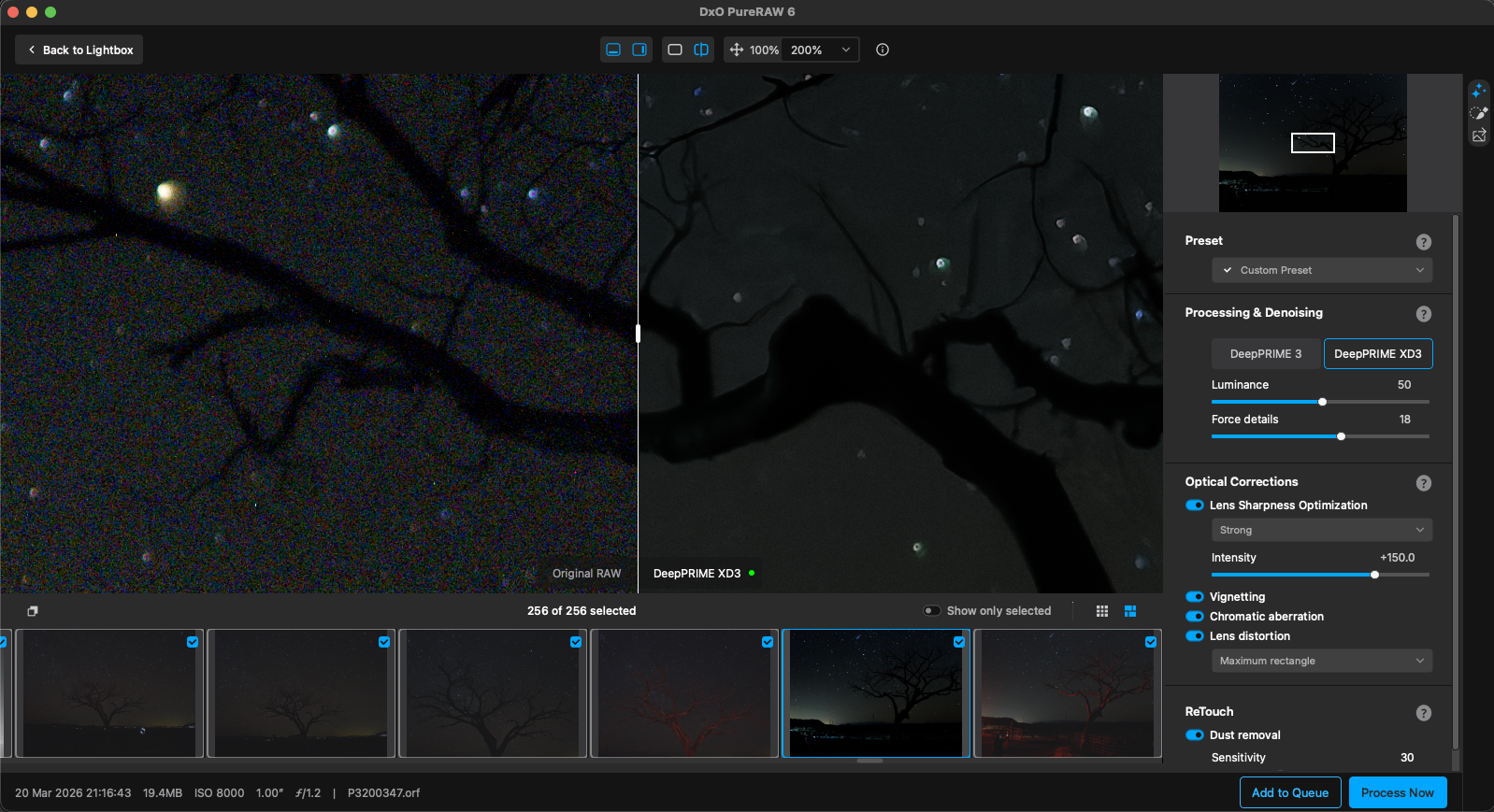 Photo editing software interface displays a side-by-side comparison of a noisy night photo (left) and an enhanced version (right) featuring tree branches against a dark sky with stars. Adjustment sliders and options are visible on the right panel.