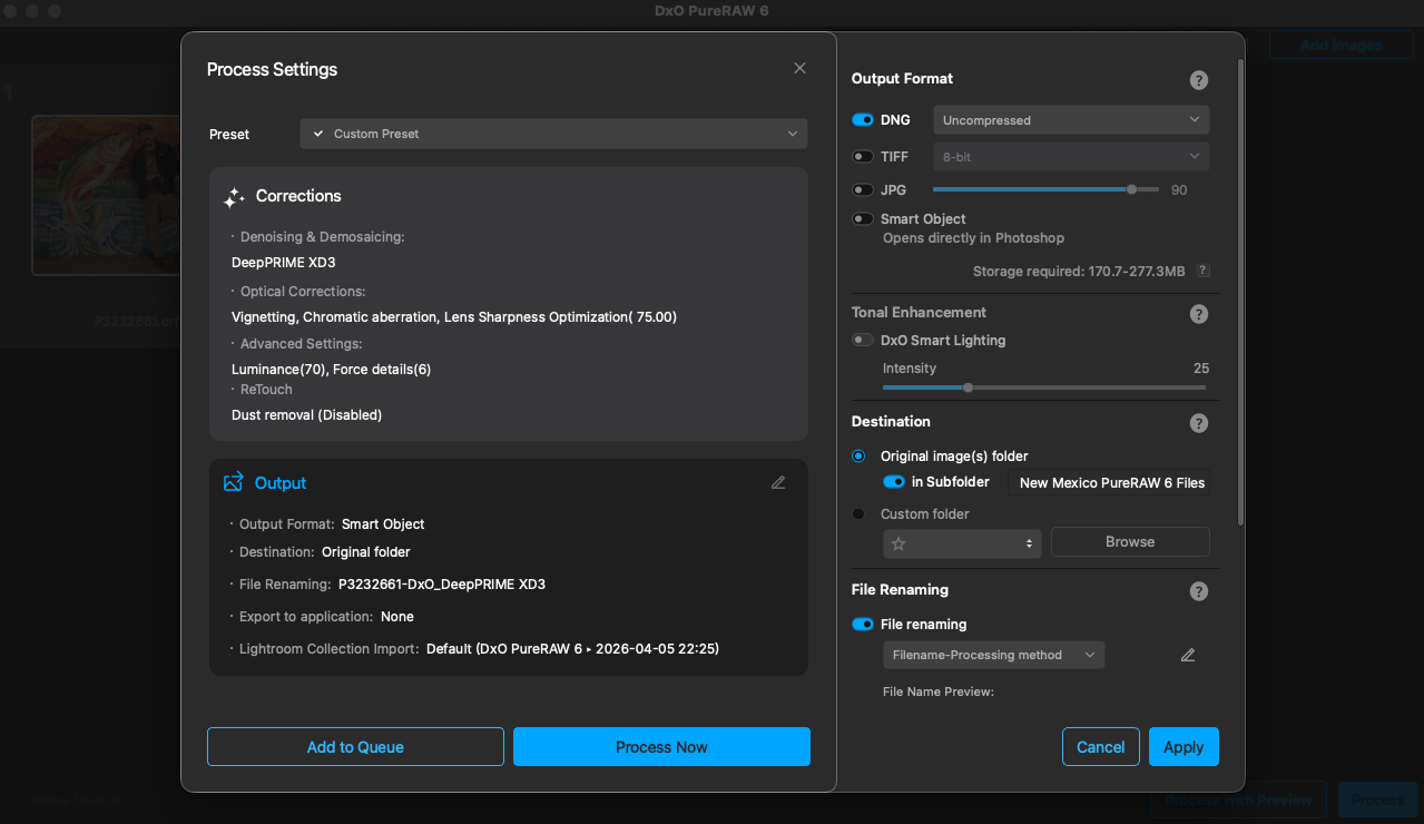 Screenshot of the DxO PureRAW 4 Process Settings window showing options for corrections, output format, destination folder, file renaming, and buttons for processing or applying settings.